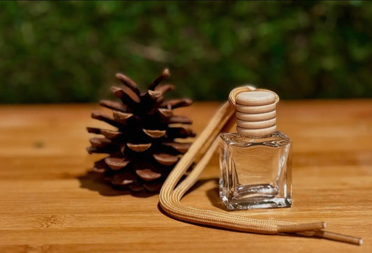 Car Diffuser | Bum Bum